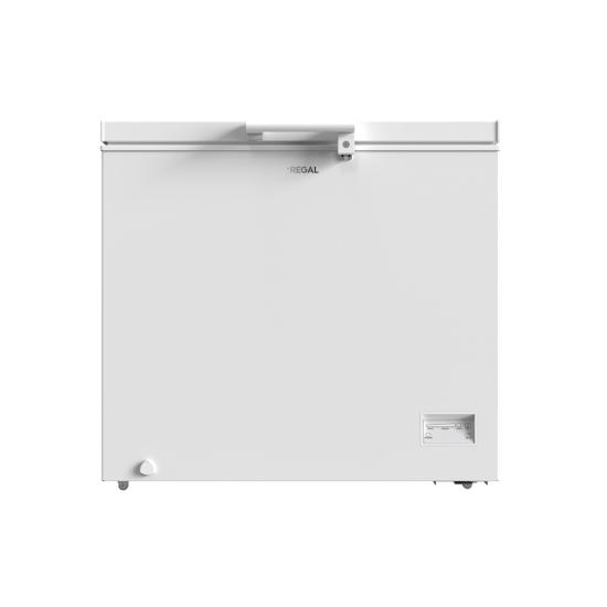 REGAL SD DUAL 2021 SANDIK TİPİ DONDURUCU